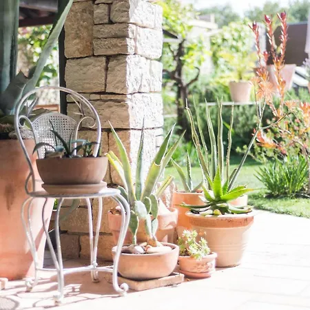 펜션 Renata Murter