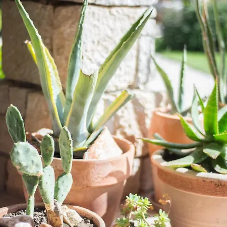 Renata Murter * 시베니크