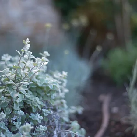 펜션 Renata Murter 시베니크