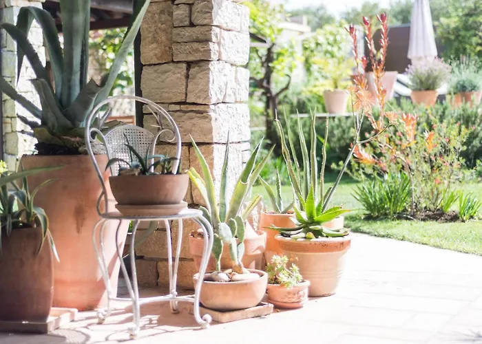 Tatil Evi Renata Murter