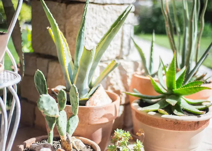 Renata Murter * Sibenik