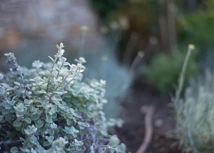 Holiday home Renata Murter Sibenik